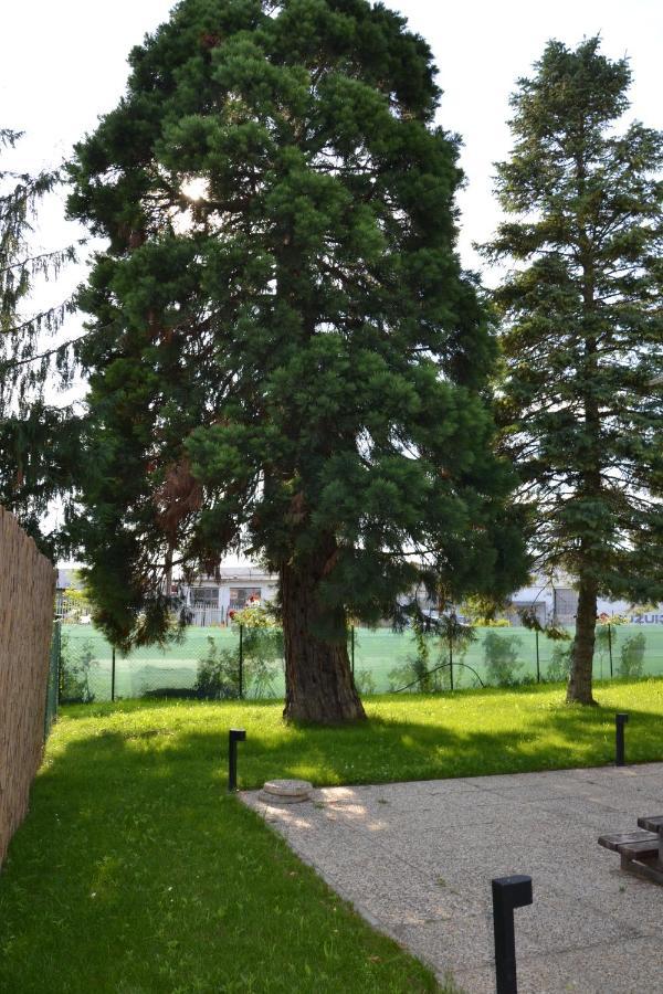Akvamarin Apartman Kestel Dış mekan fotoğraf